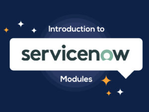 SNModules